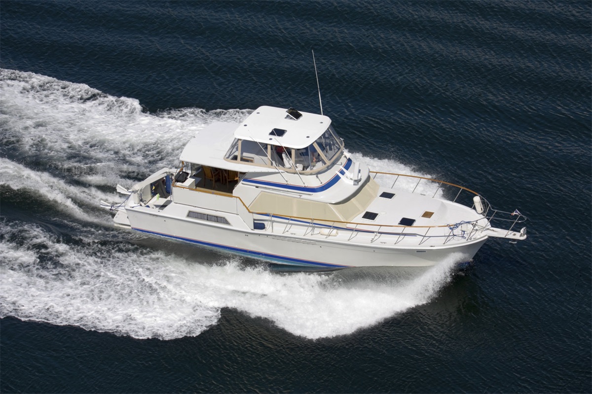 Ciri -ciri pelbagai jenis bot dalam persekitaran yang teruk